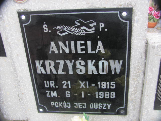 Aniela Krzyśków 1915 Chojna - Grobonet - Wyszukiwarka osób pochowanych