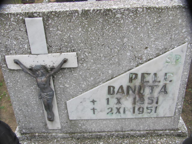 Grób Danuta Pełc