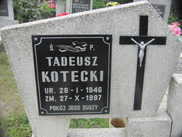 Tadeusz Kotecki 1946 Chojna - Grobonet - Wyszukiwarka osób pochowanych