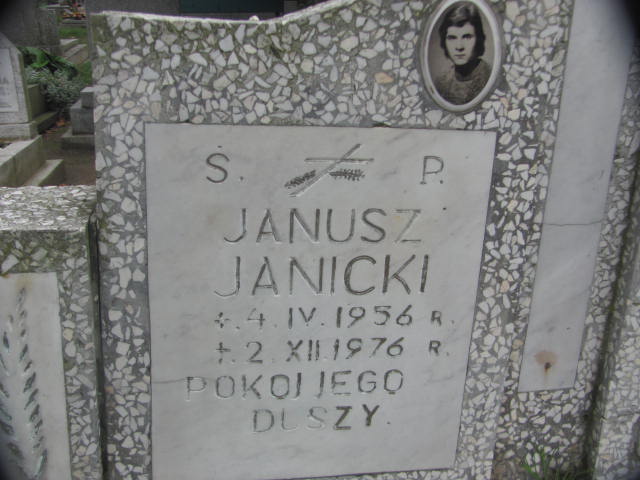  Janicki 1956 Chojna - Grobonet - Wyszukiwarka osób pochowanych