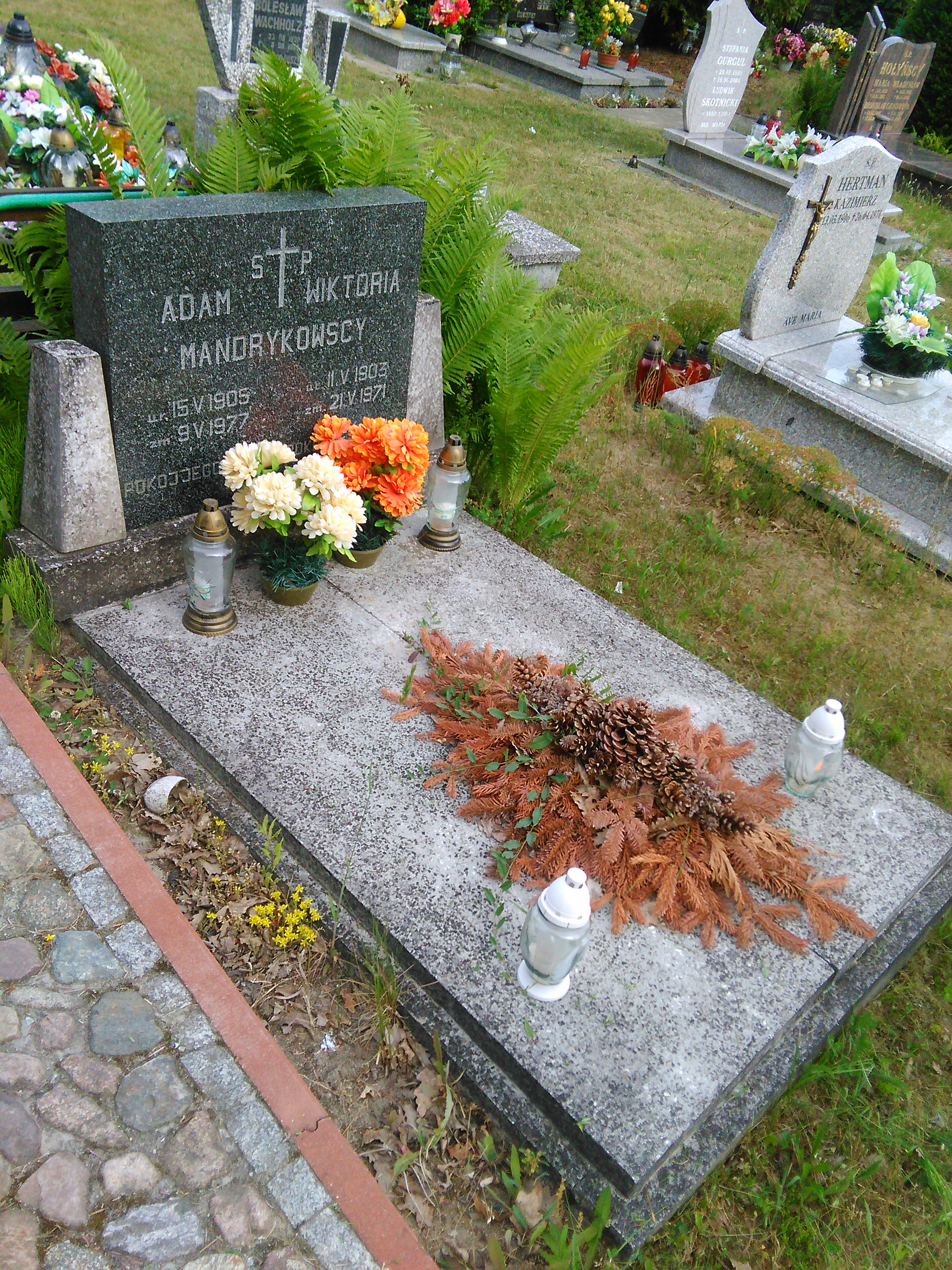 Grób Adam Mandrykowski