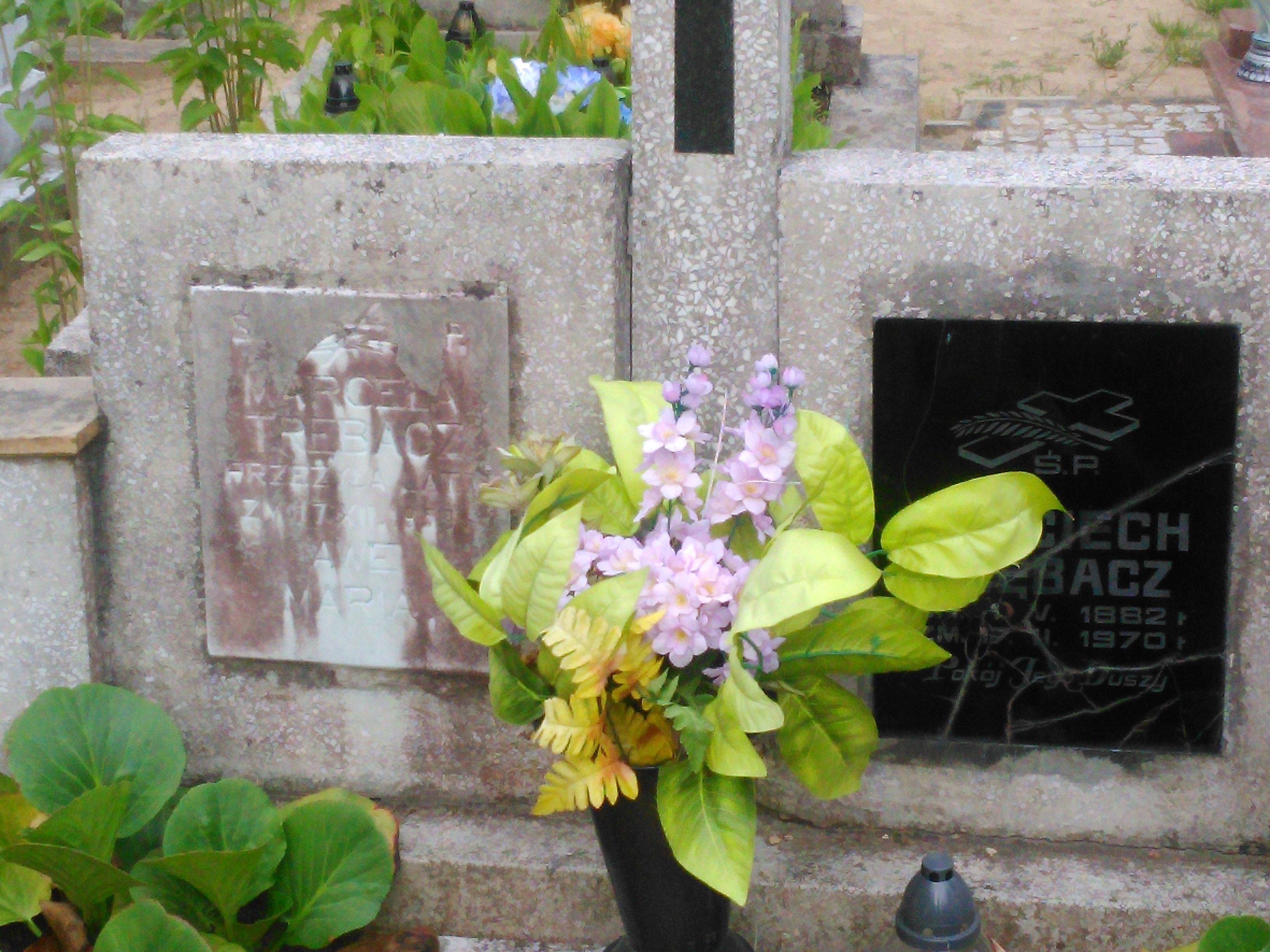 Grób Marcela Trębacz